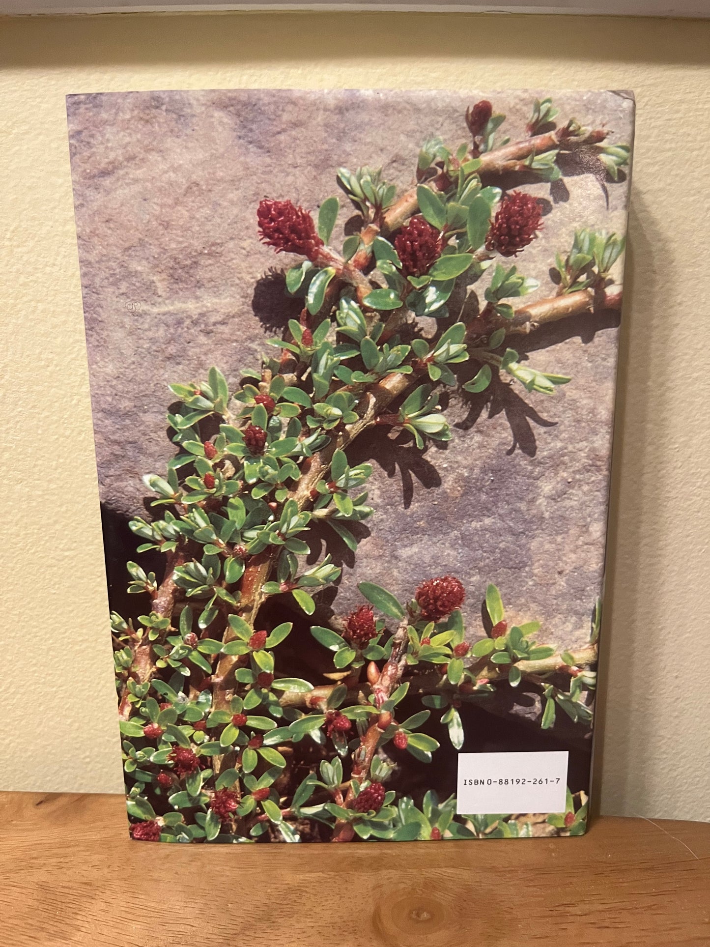 Willows: The Genus Salix by Christopher Newsholme