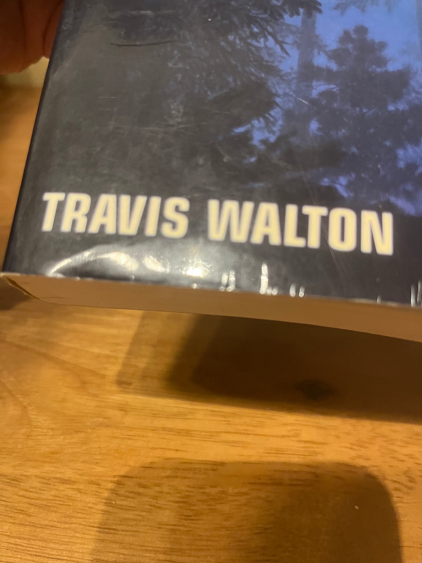 Fire in the Sky by Travis Walton (2010 PB edition)