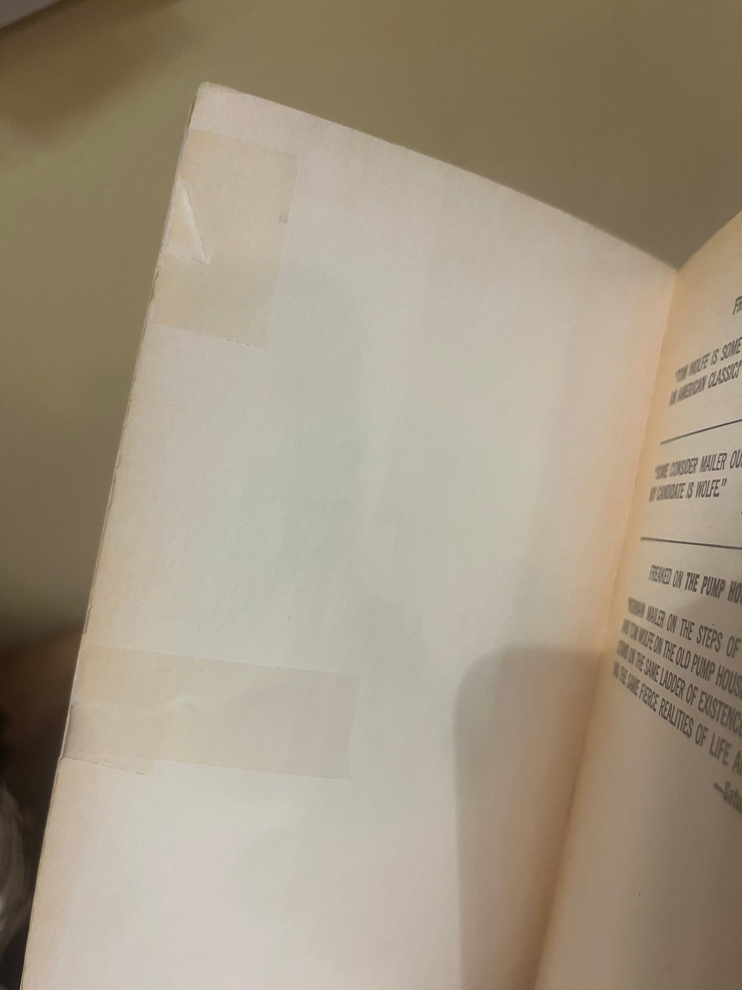 The Pump House Gang by Tom Wolfe (1972)