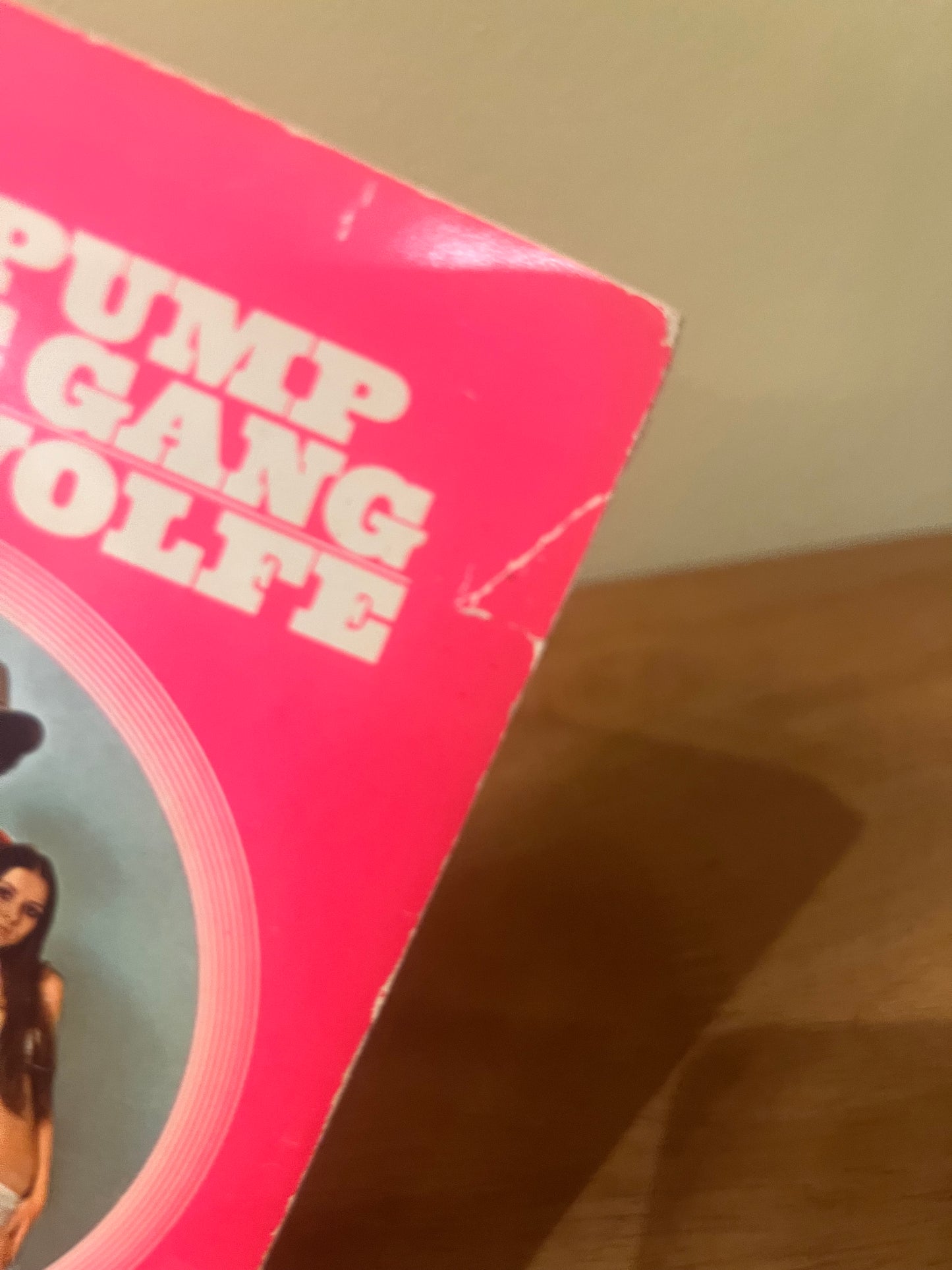The Pump House Gang by Tom Wolfe (1972)