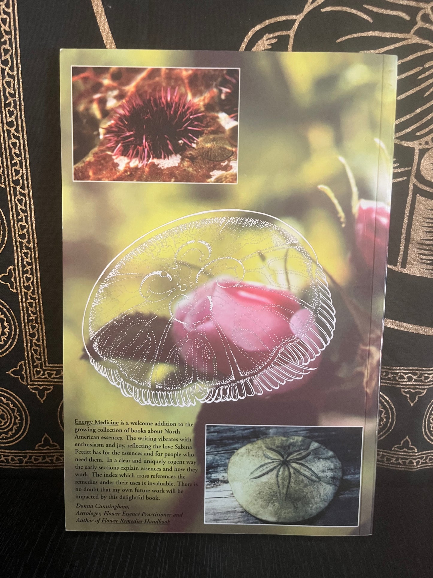 Energy Medicine: Pacific Flower and Sea Essences by Sabina Pettitt (1993)