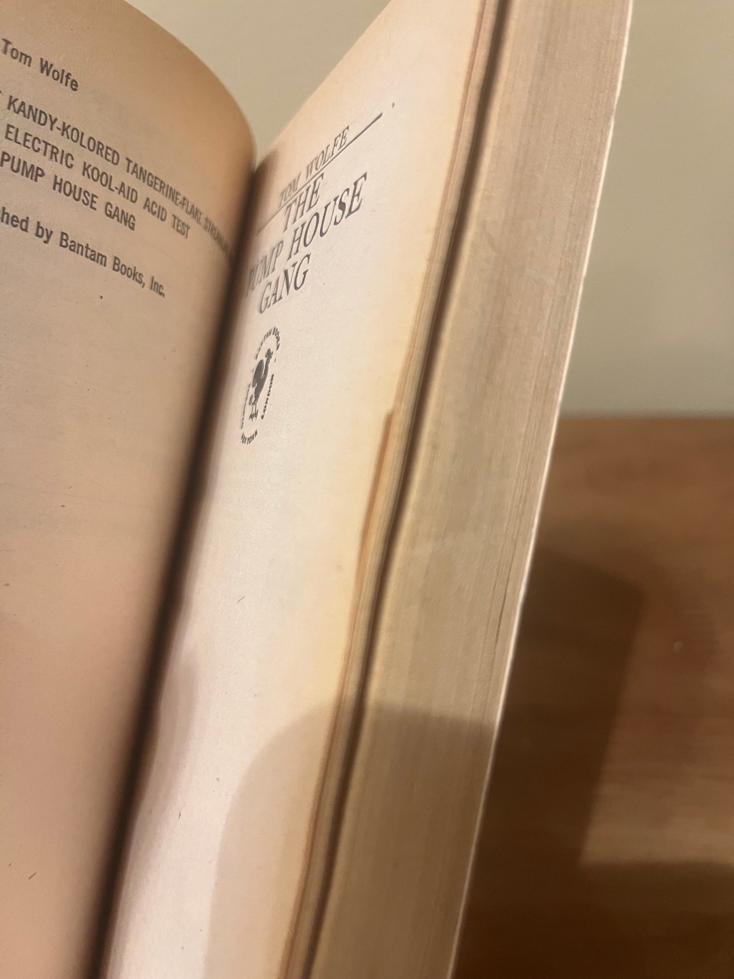 The Pump House Gang by Tom Wolfe (1972)