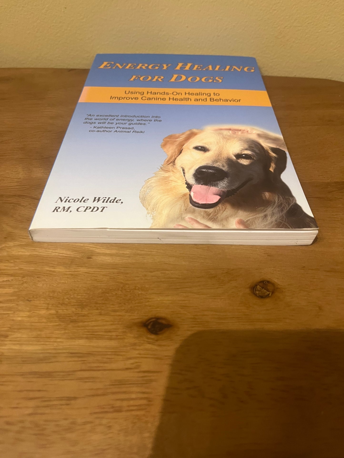 Energy Healing For Dogs: Using Hands-on Healing to Improve Canine Health and Behavior by Nicole Wilde