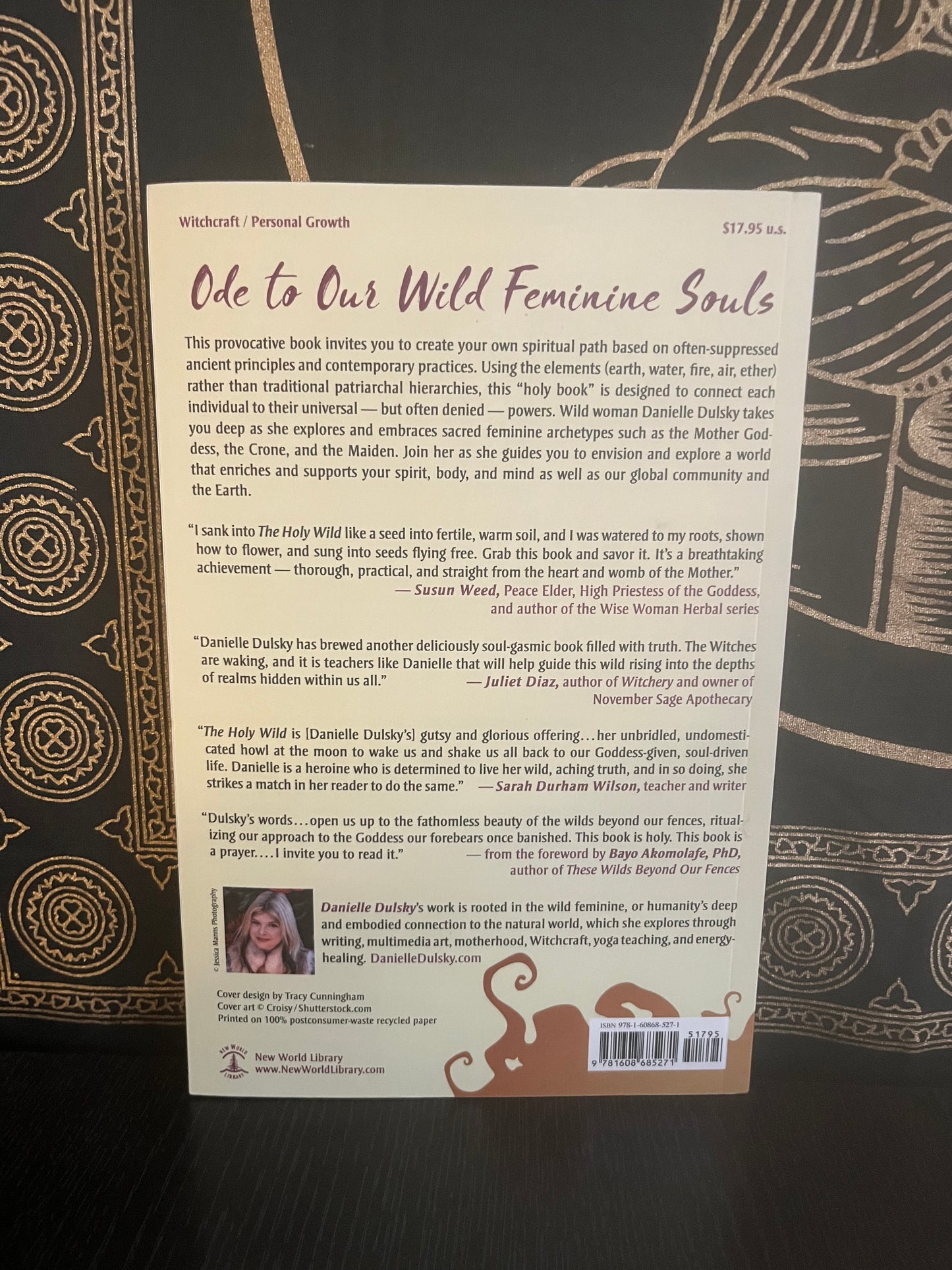 The Holy Wild by Danielle Dulsky