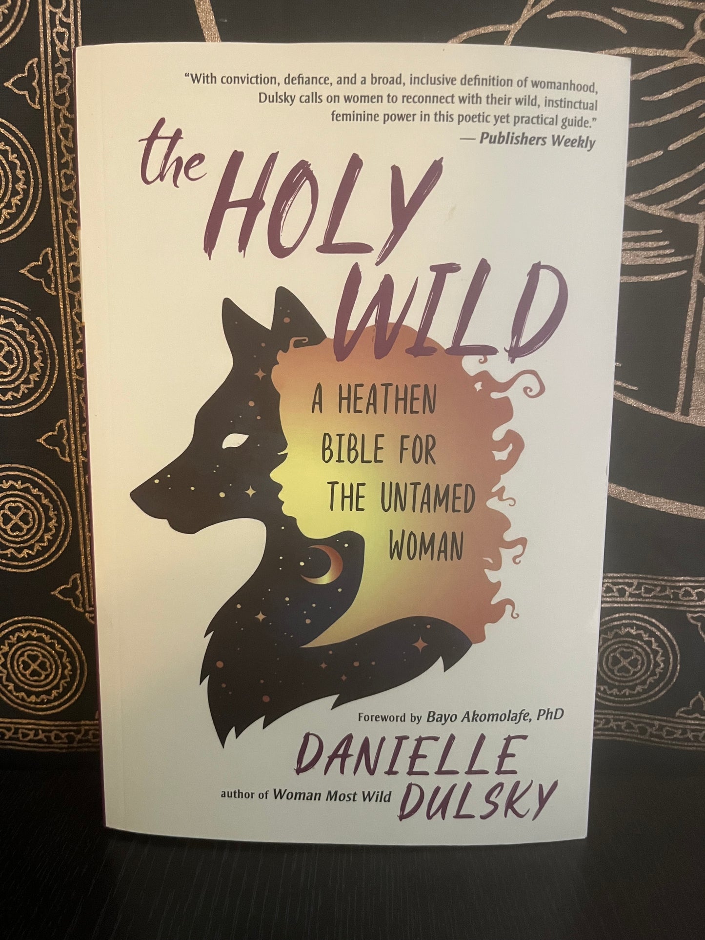 The Holy Wild by Danielle Dulsky