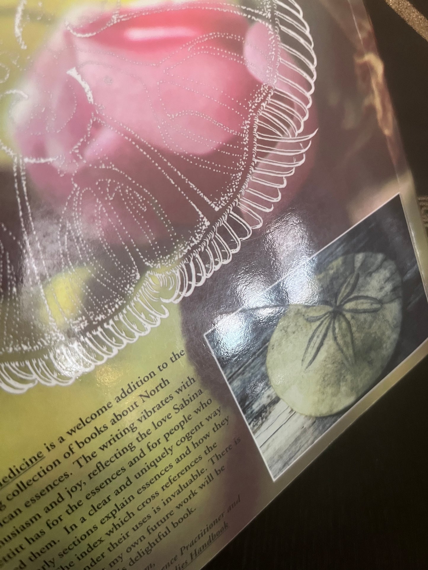 Energy Medicine: Pacific Flower and Sea Essences by Sabina Pettitt (1993)