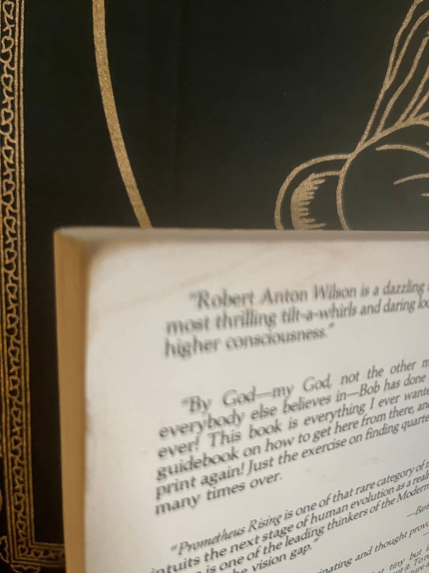 Prometheus Rising by Robert Anton Wilson