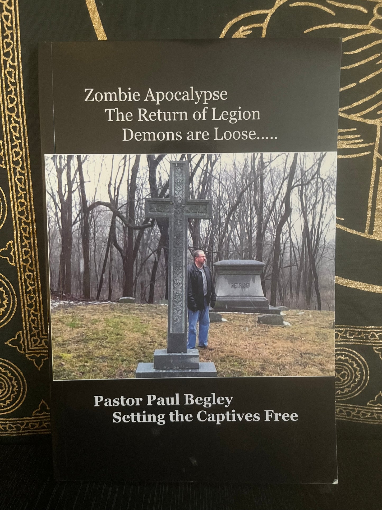 Zombie Apocalypse by Paul Begley