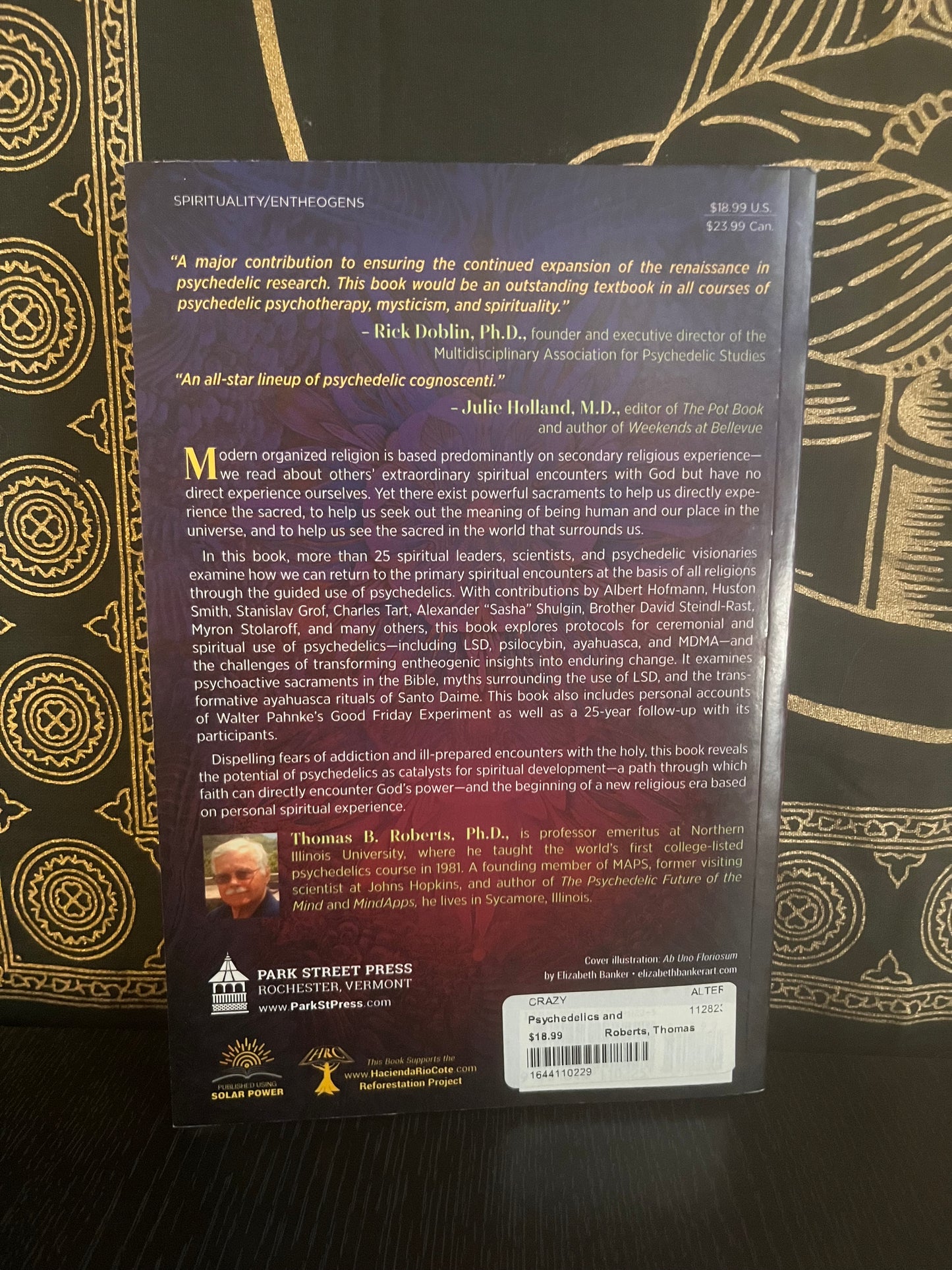 Psychedelics and Spirituality by Thomas R. Roberts (Editor)