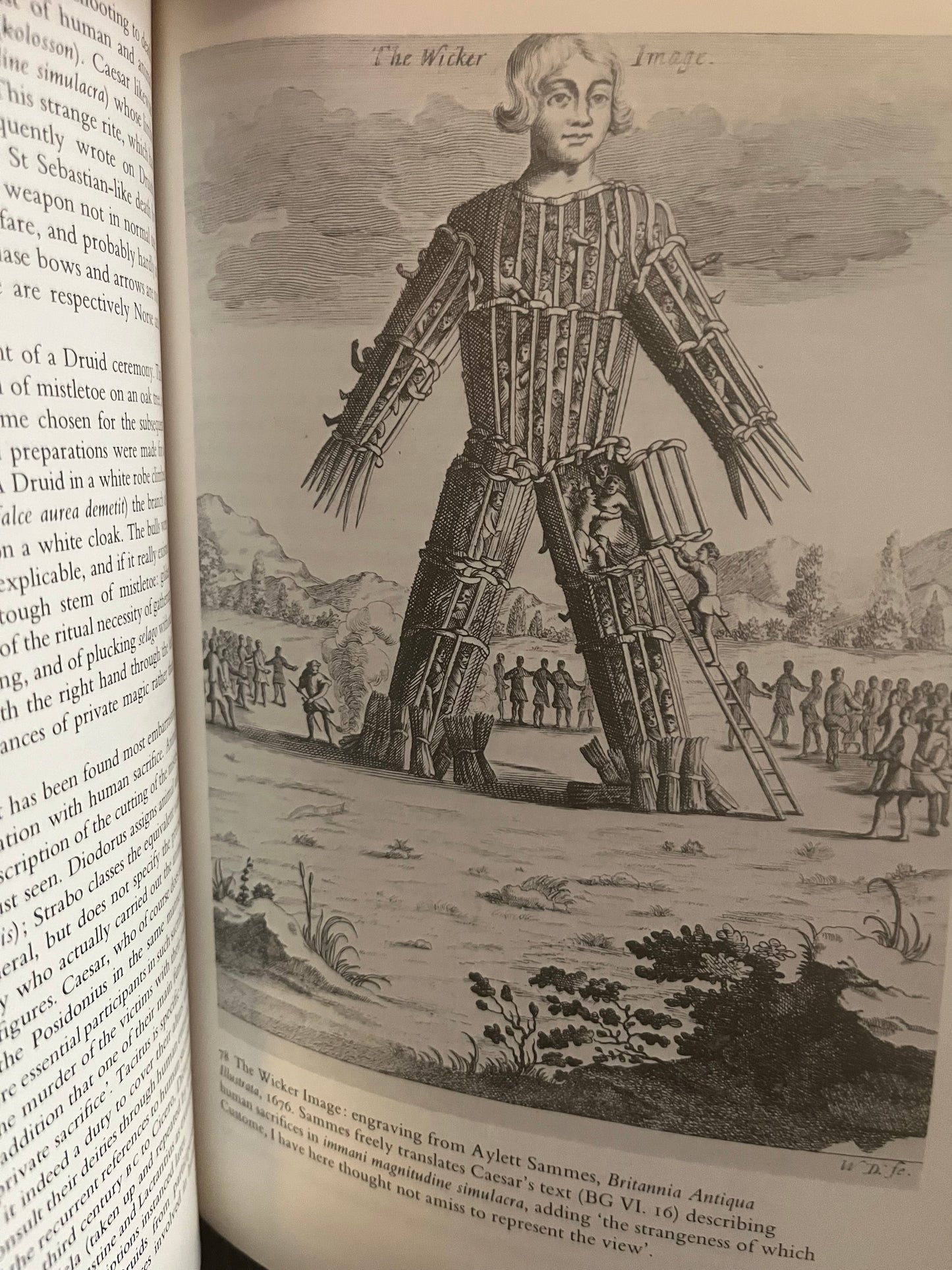 The Druids by Stuart Piggott