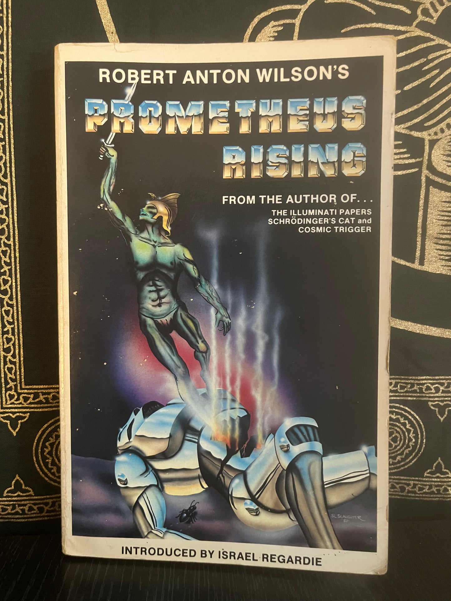 Prometheus Rising by Robert Anton Wilson