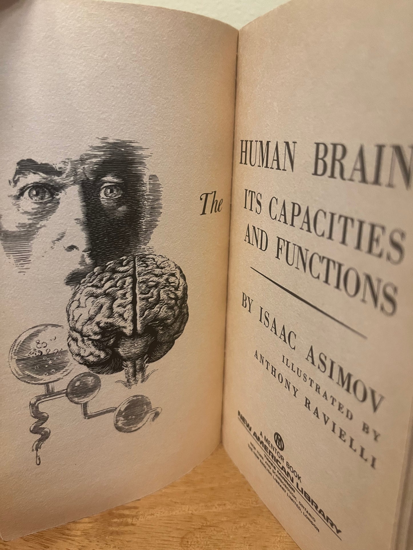 The Human Brain by Isaac Asimov