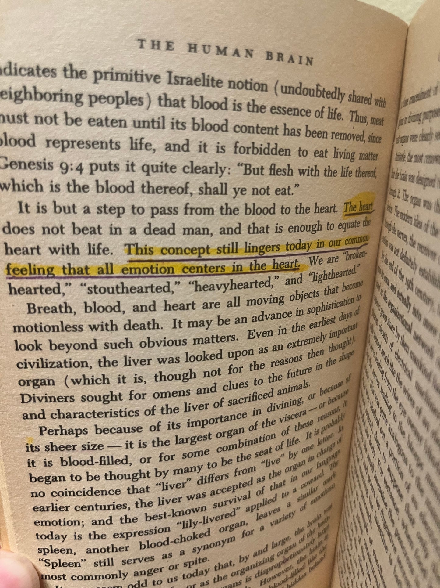 The Human Brain by Isaac Asimov