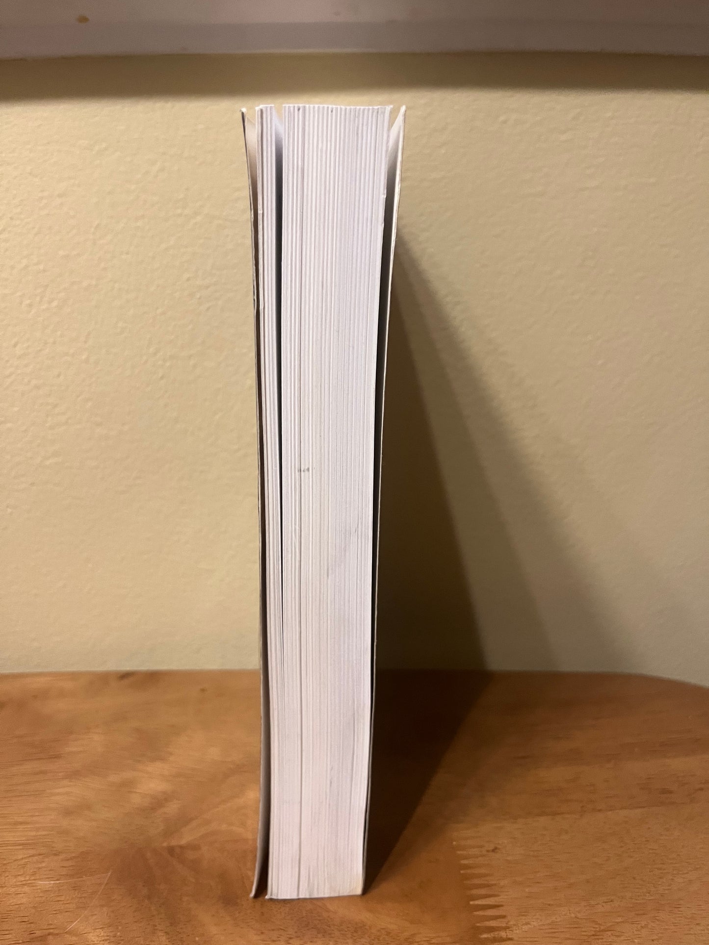 Fire in the Sky by Travis Walton (2010 PB edition)
