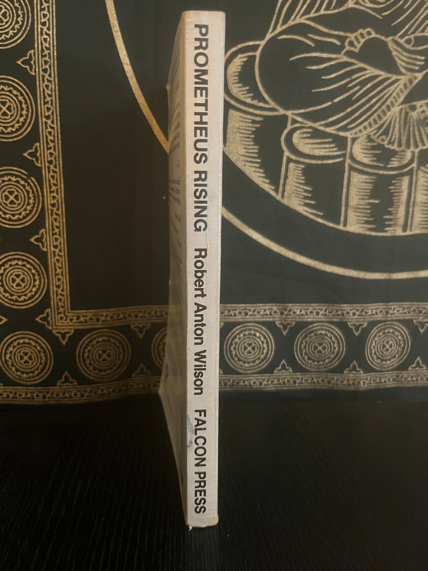 Prometheus Rising by Robert Anton Wilson