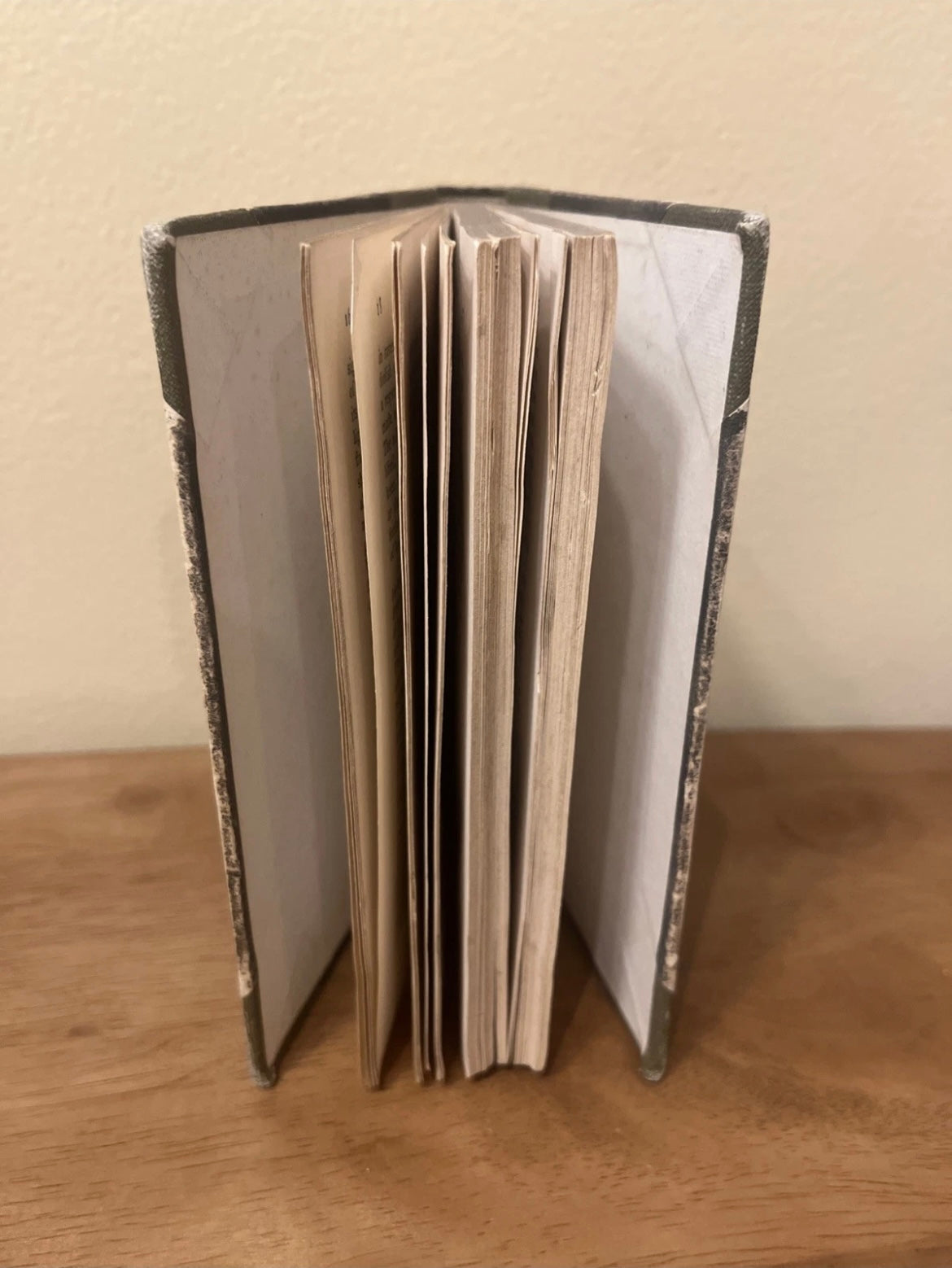 A Tramp Abroad Vol 1 by Mark Twain (1880 Tauchnitz Edition)