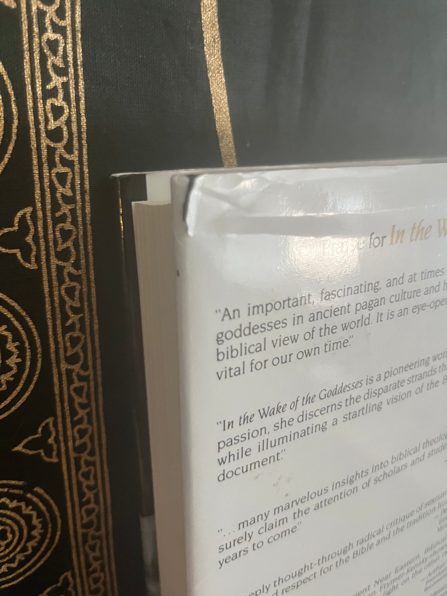 In the Wake of the Goddess by Tikva Frymer-Kensky