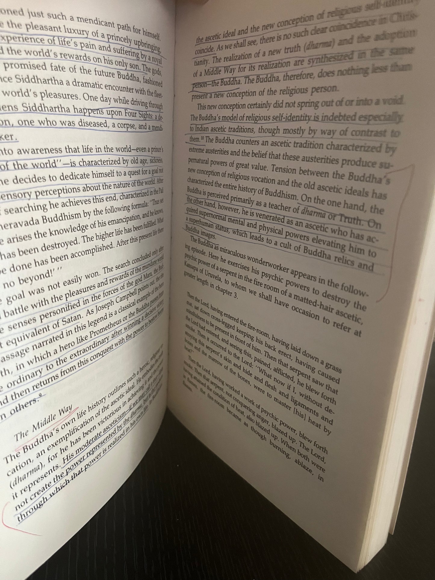 For the Sake of the World: The Spirit of Buddhist and Christian Monasticism by Patrick G. Henry & Donald K. Swearer