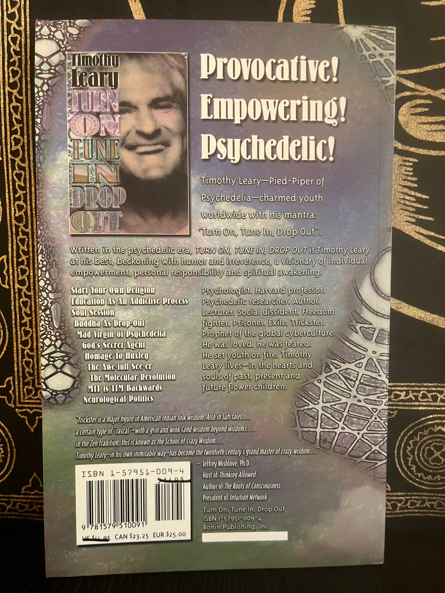 Turn On Tune In Drop Out by Timothy Leary