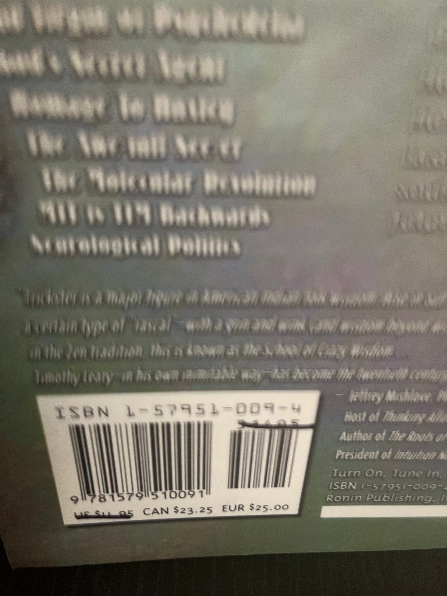 Turn On Tune In Drop Out by Timothy Leary