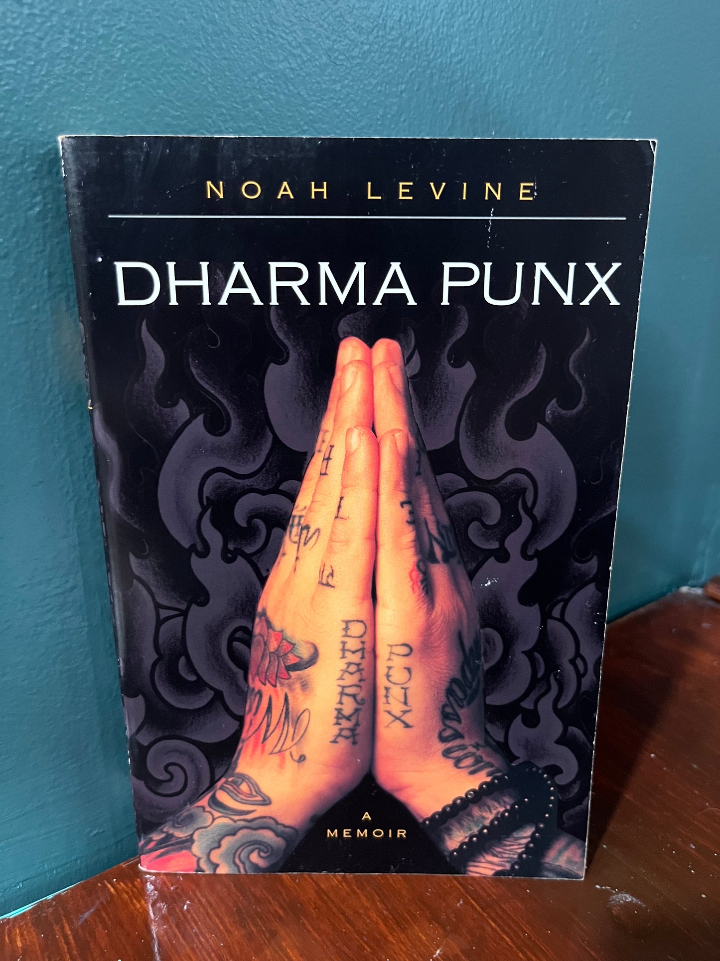 Dharma Punx by Noah Levine