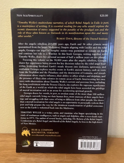 Rebel Angels In Exile: Pleiadians, Watchers, and the Spritual Quickening of Humanity  by Timothy Wyllie